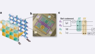 s-nisq quantum error correction